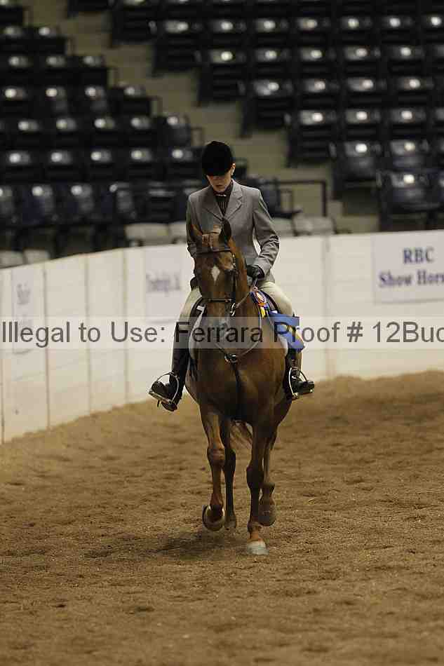 Proof Number 12buck_6156