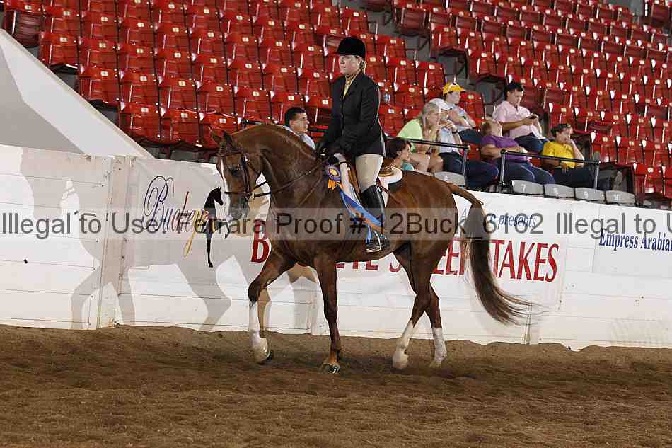 Proof Number 12buck_6162