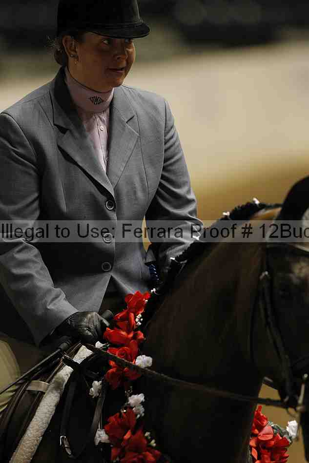 Proof Number 12buck_6185