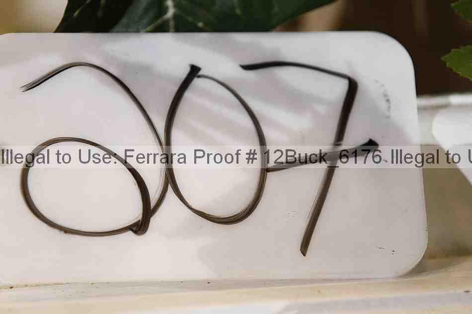 Proof Number 12buck_6176