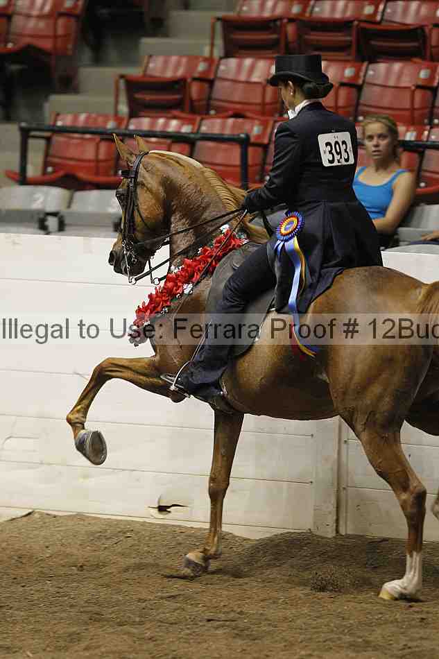 Proof Number 12buck_6191