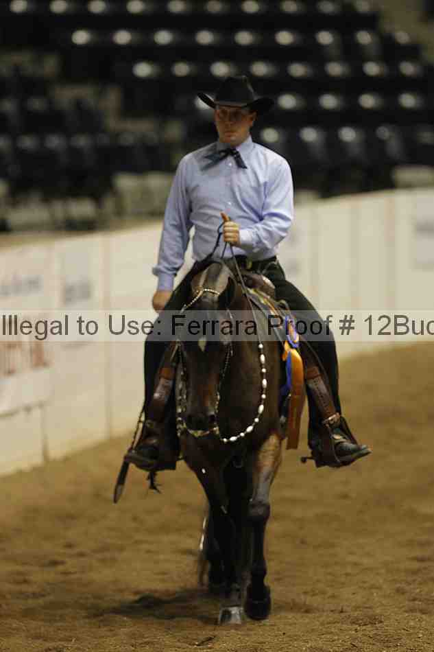 Proof Number 12buck_6211