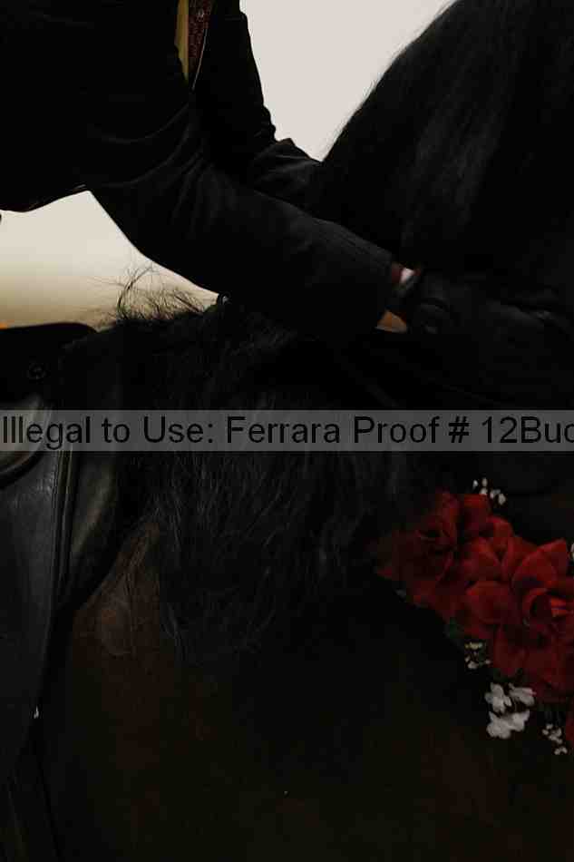 Proof Number 12buck_6281
