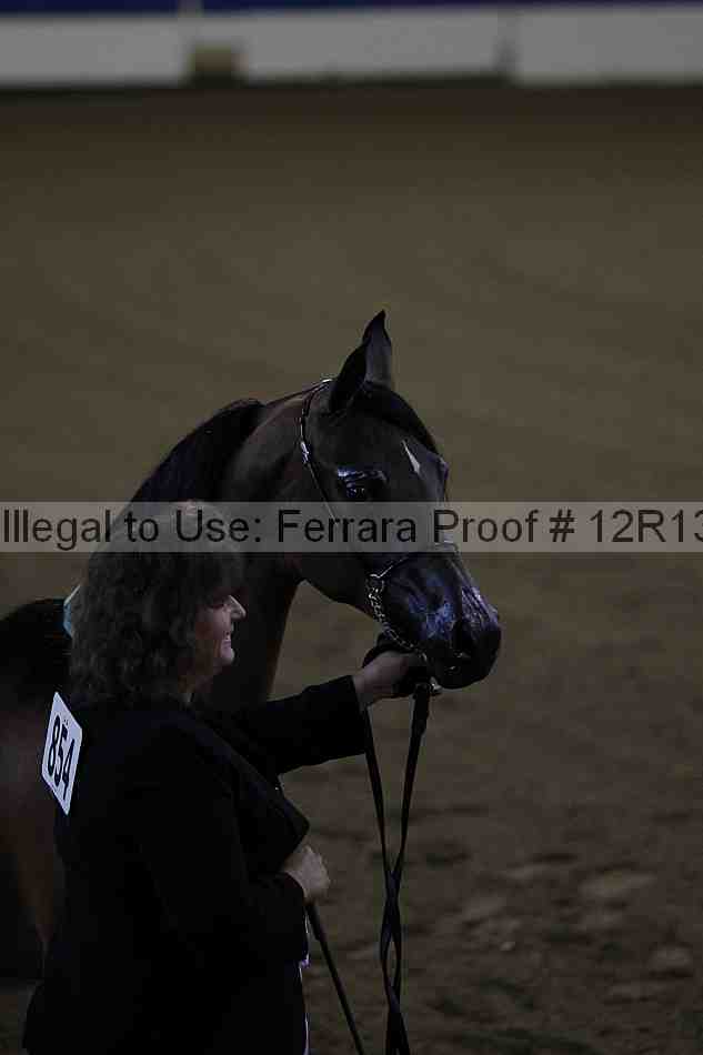 Proof Number 12r13_0011