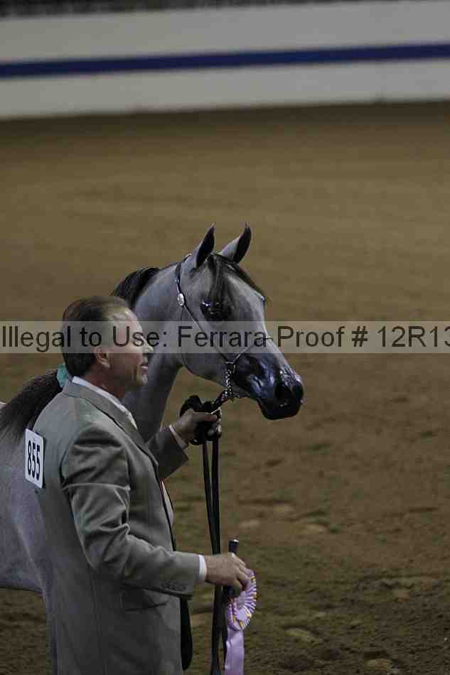 Proof Number 12r13_0015