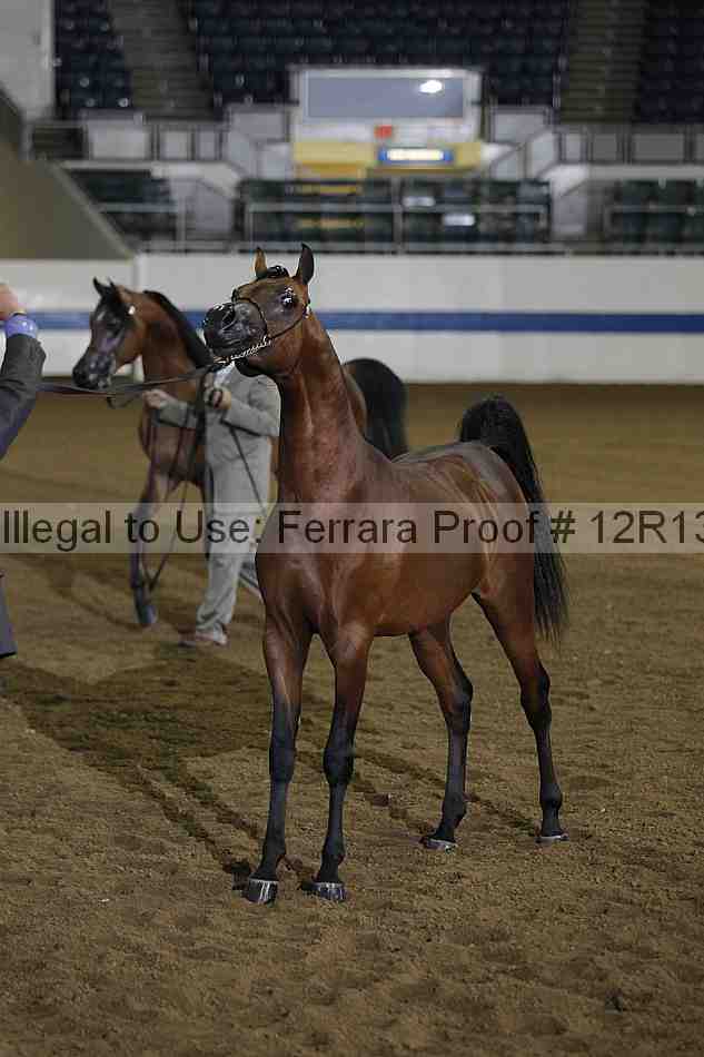 Proof Number 12r13_0041