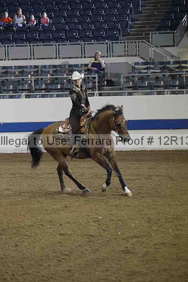 Proof Number 12r13_0084
