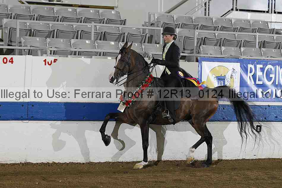 Proof Number 12r13_0124