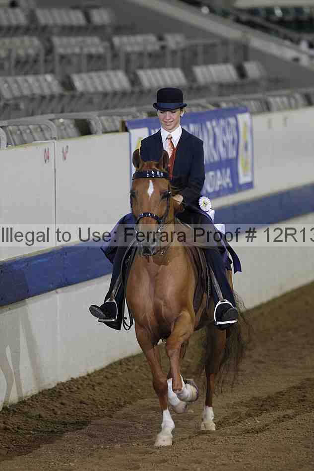 Proof Number 12r13_0126