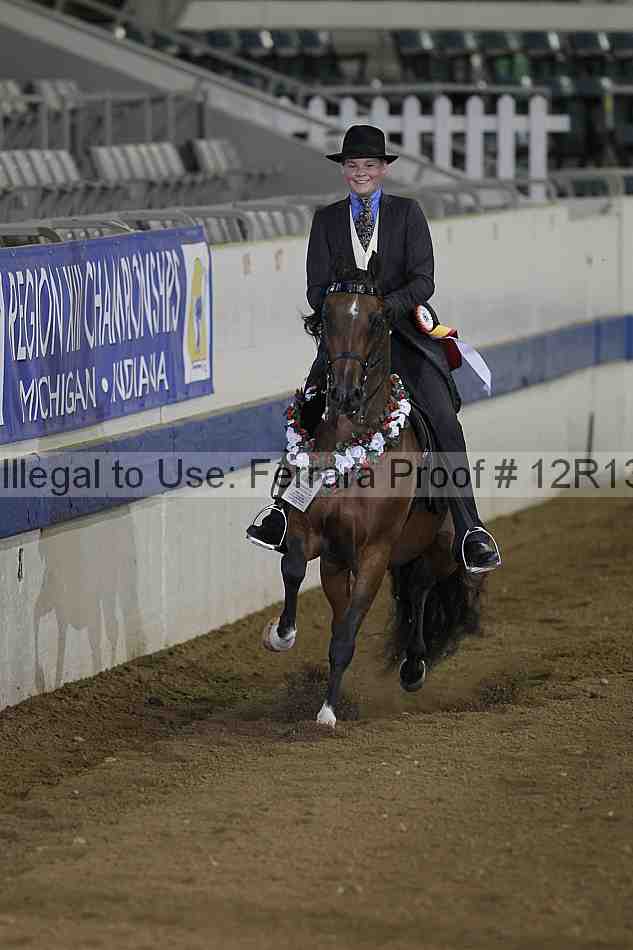 Proof Number 12r13_0127