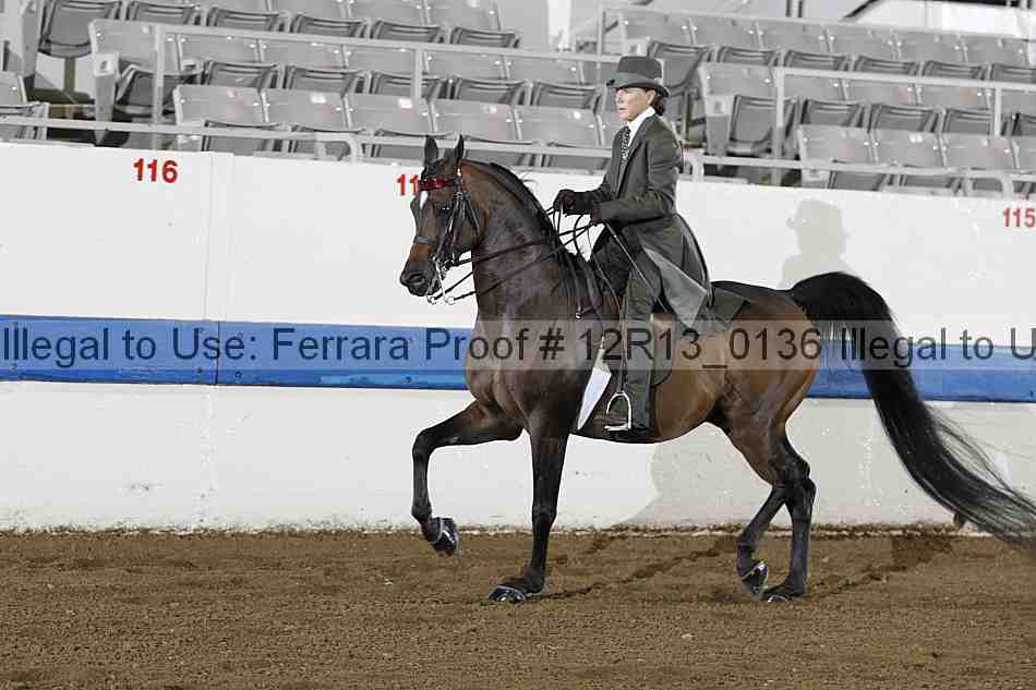 Proof Number 12r13_0136