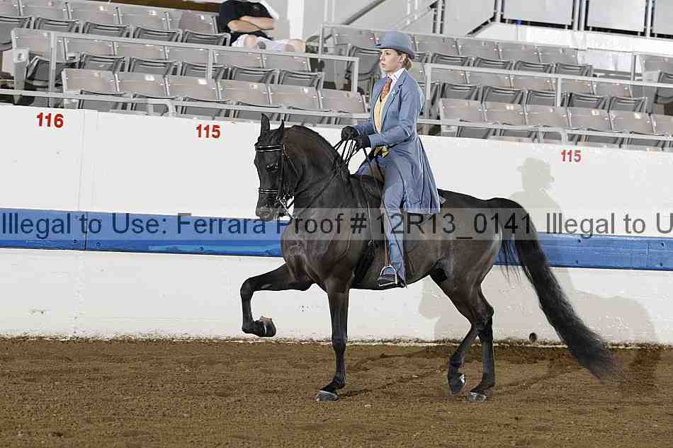 Proof Number 12r13_0141