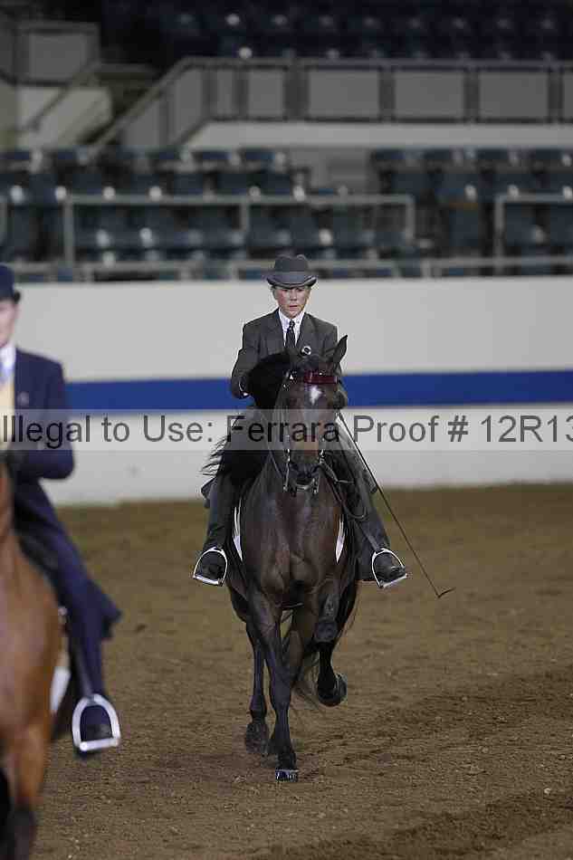 Proof Number 12r13_0148