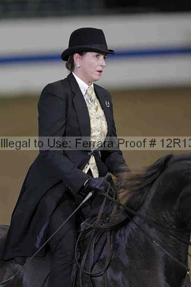 Proof Number 12r13_0156