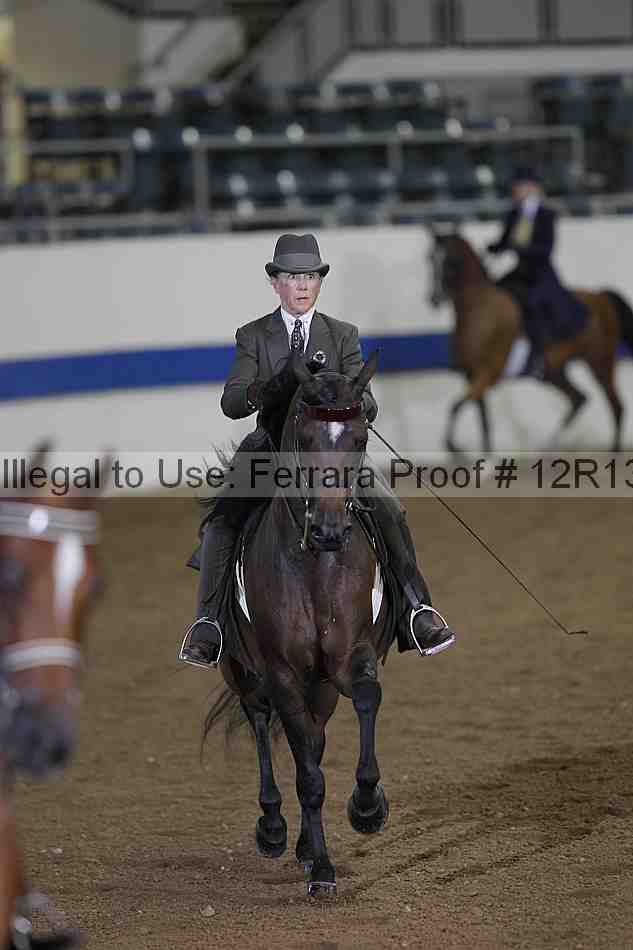 Proof Number 12r13_0157