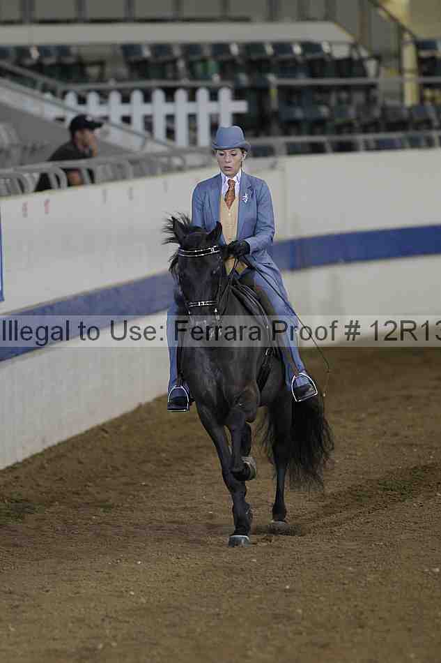 Proof Number 12r13_0164