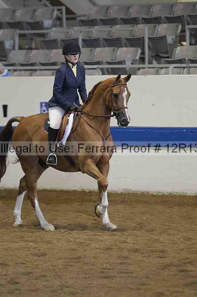 Proof Number 12r13_0221
