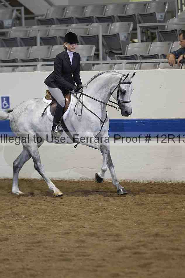 Proof Number 12r13_0223