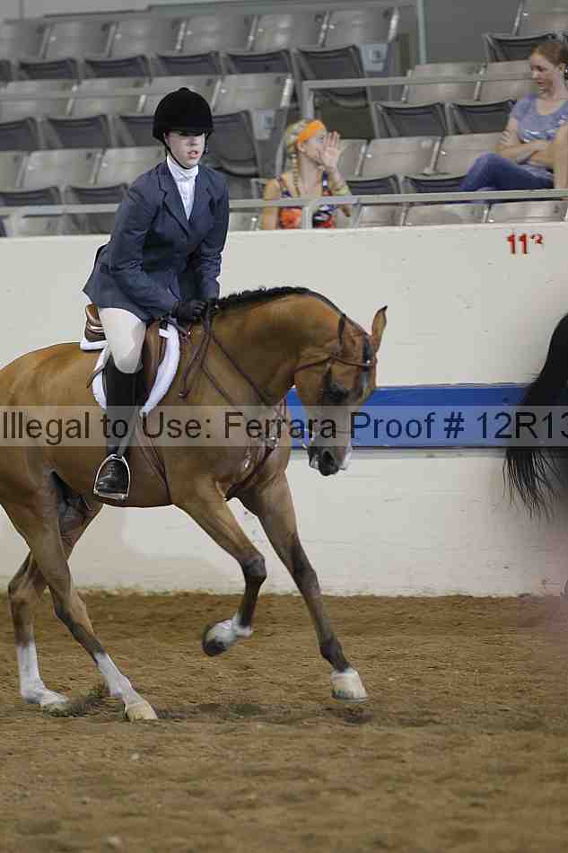 Proof Number 12r13_0224