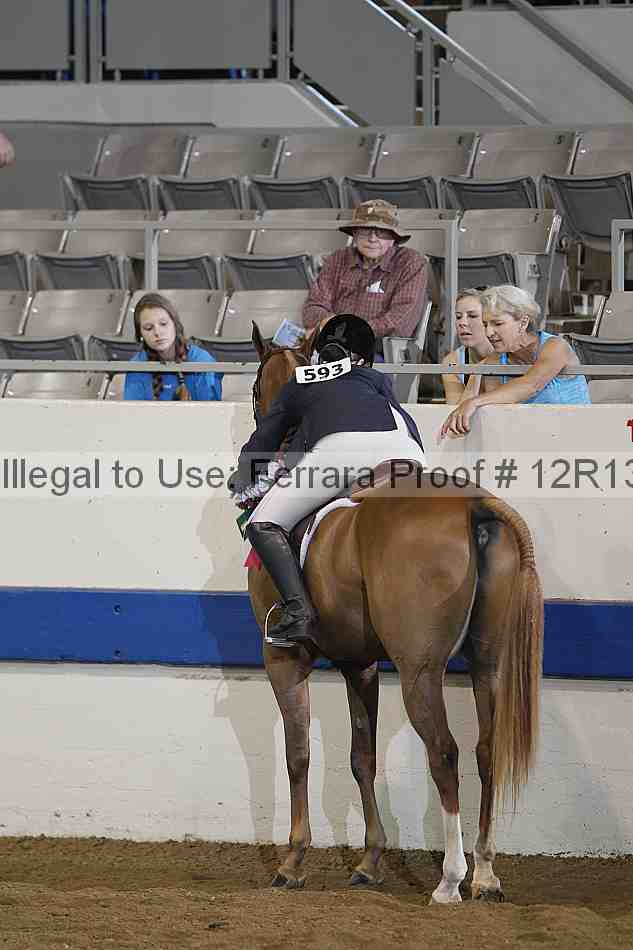 Proof Number 12r13_0238