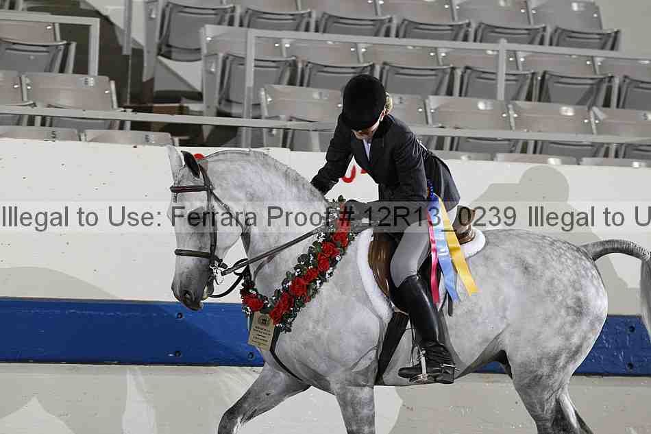 Proof Number 12r13_0239