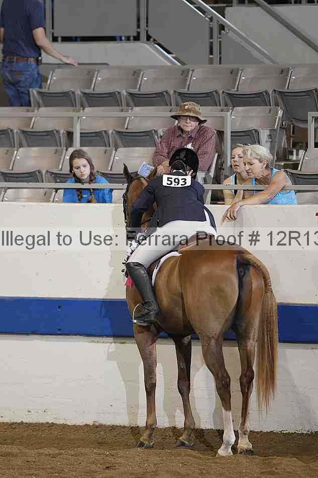 Proof Number 12r13_0240