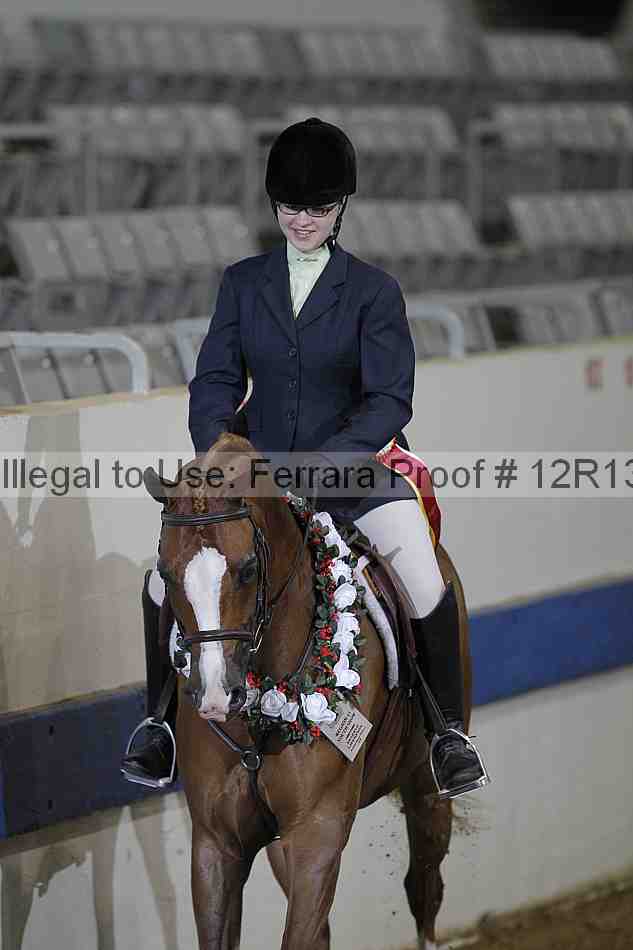 Proof Number 12r13_0260