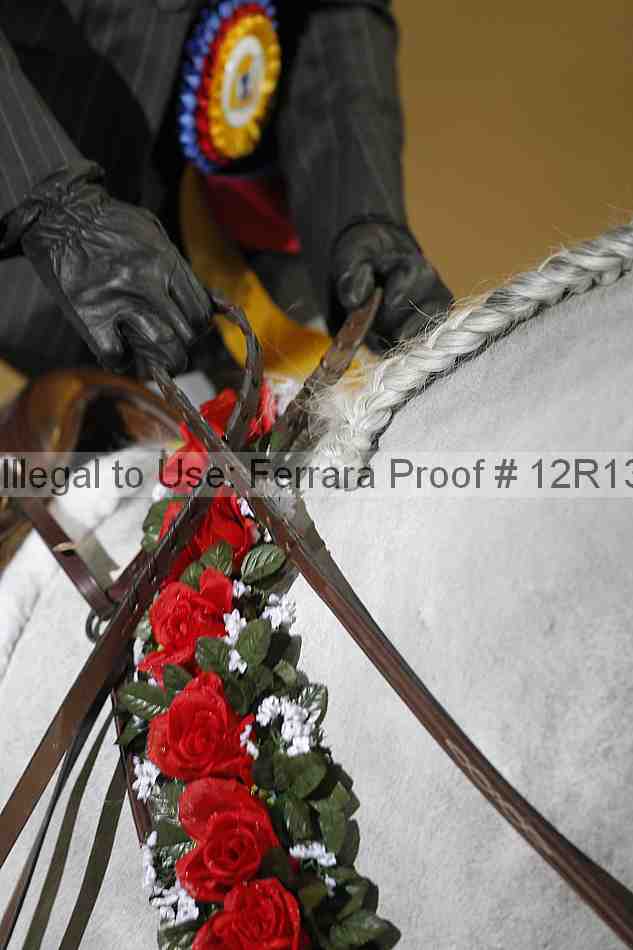 Proof Number 12r13_0265