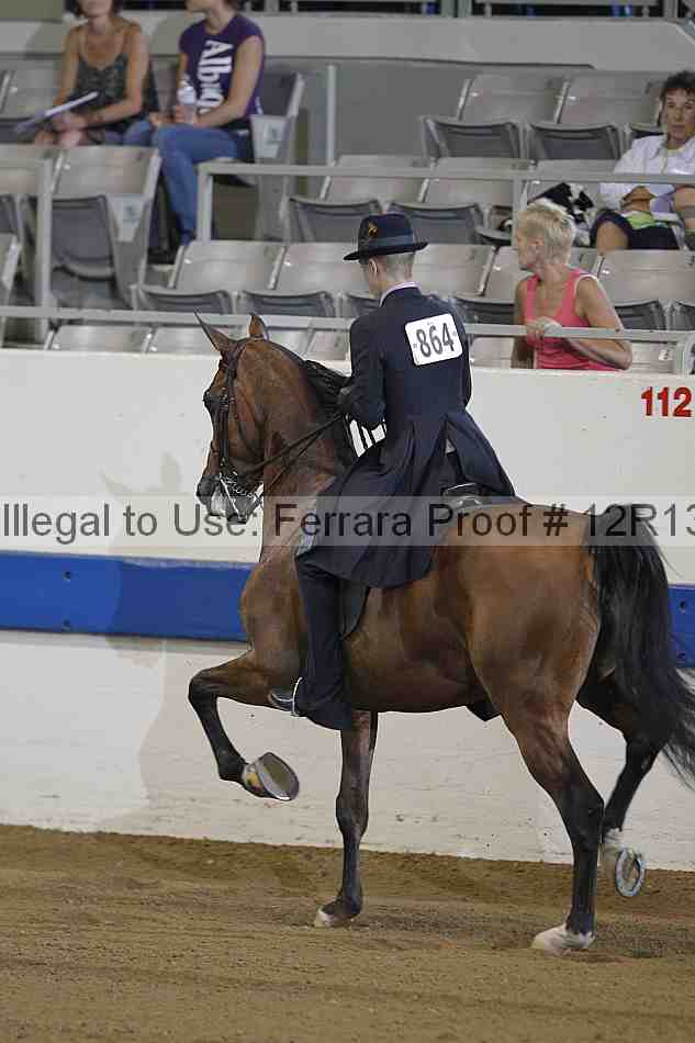 Proof Number 12r13_0283