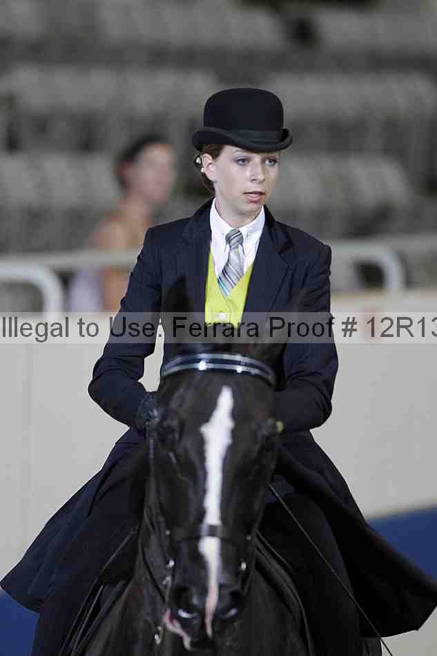 Proof Number 12r13_0295