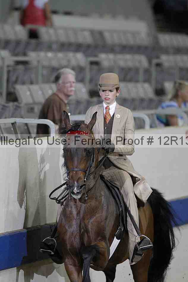 Proof Number 12r13_0297