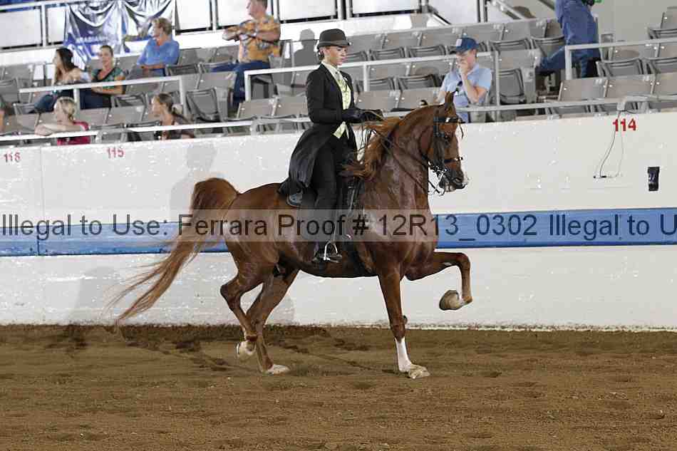 Proof Number 12r13_0302