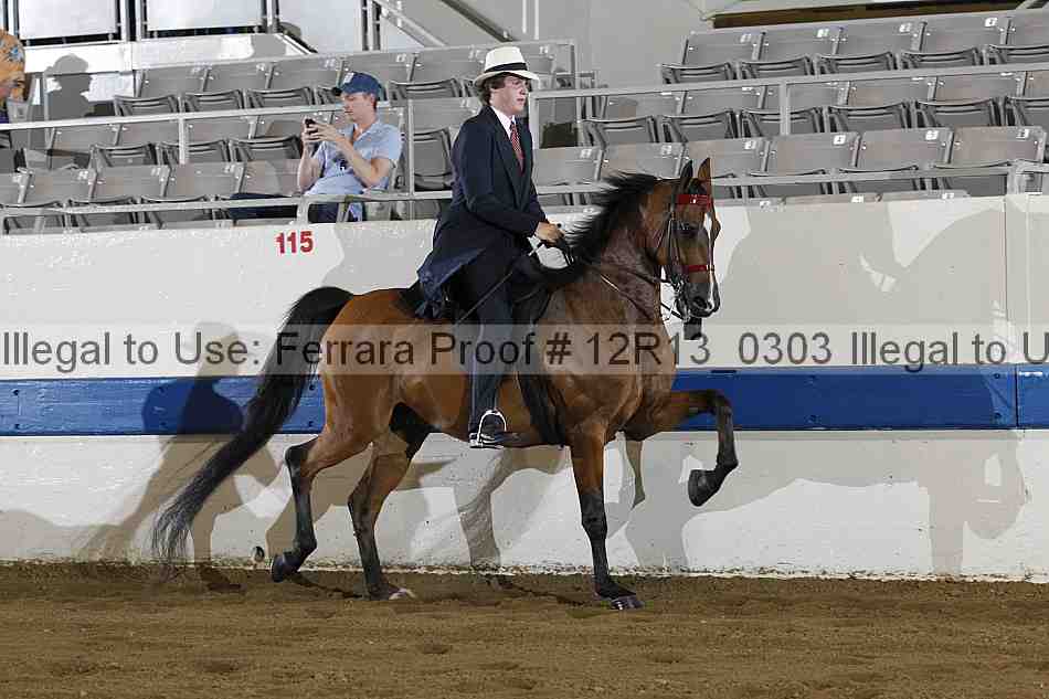 Proof Number 12r13_0303