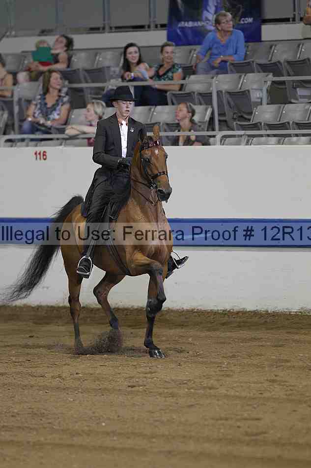 Proof Number 12r13_0306