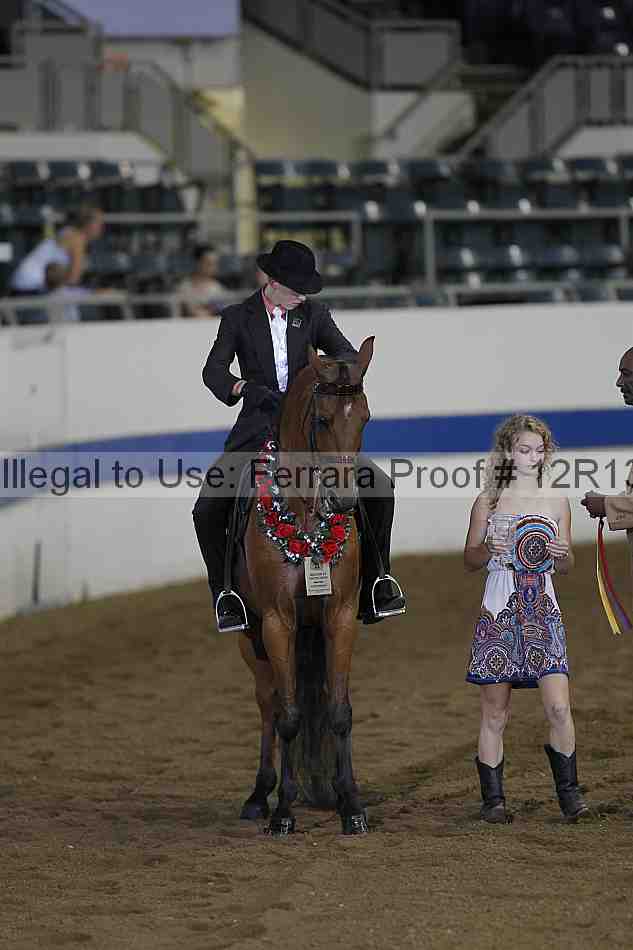 Proof Number 12r13_0316