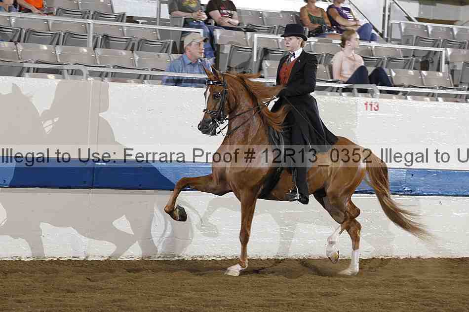 Proof Number 12r13_0352