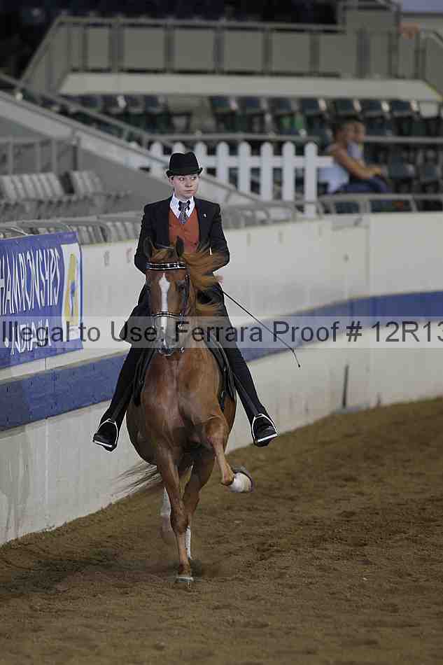Proof Number 12r13_0353