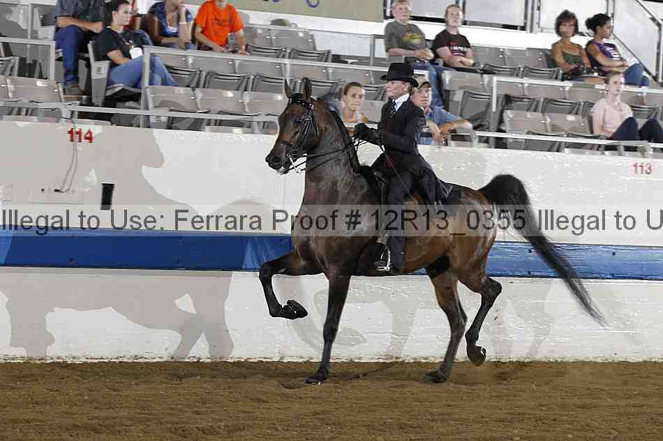Proof Number 12r13_0355