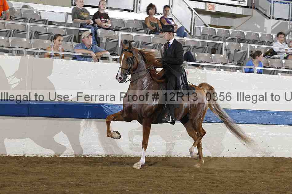 Proof Number 12r13_0356