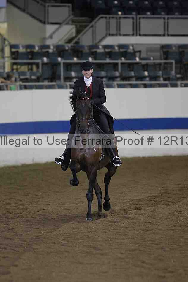 Proof Number 12r13_0357