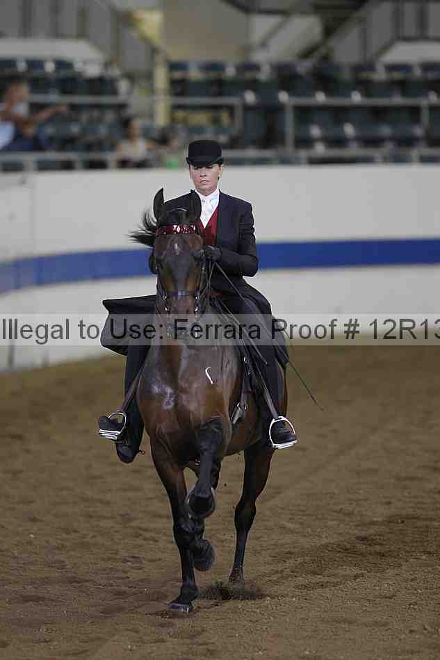 Proof Number 12r13_0358