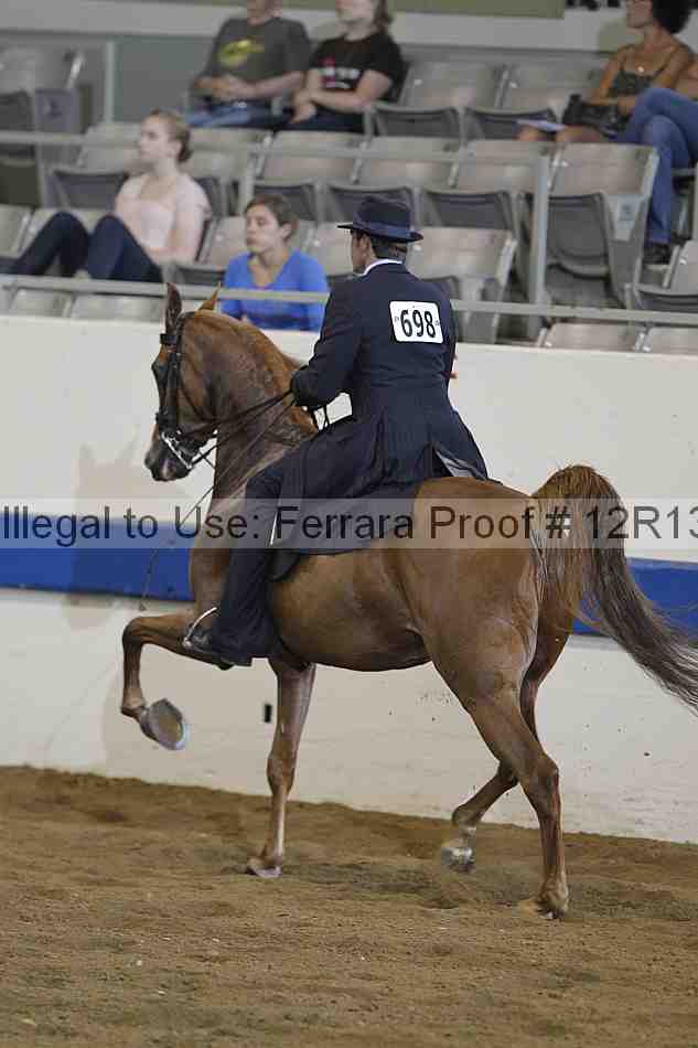 Proof Number 12r13_0362