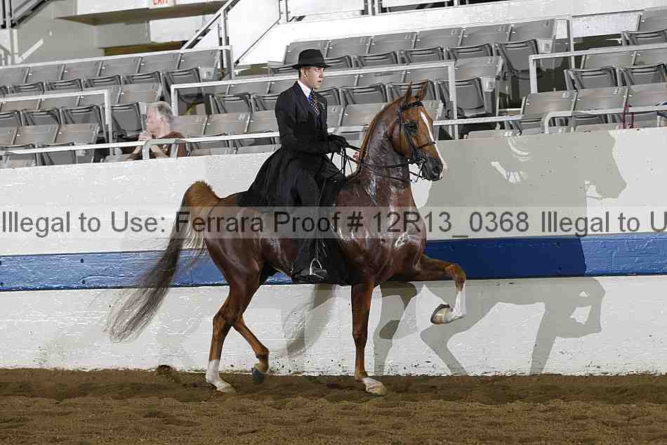 Proof Number 12r13_0368