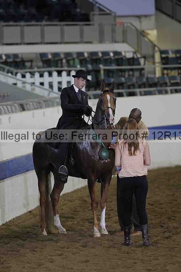 Proof Number 12r13_0371