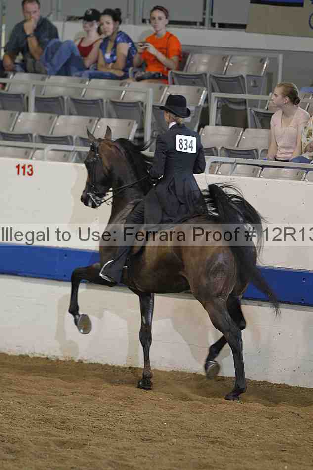 Proof Number 12r13_0378