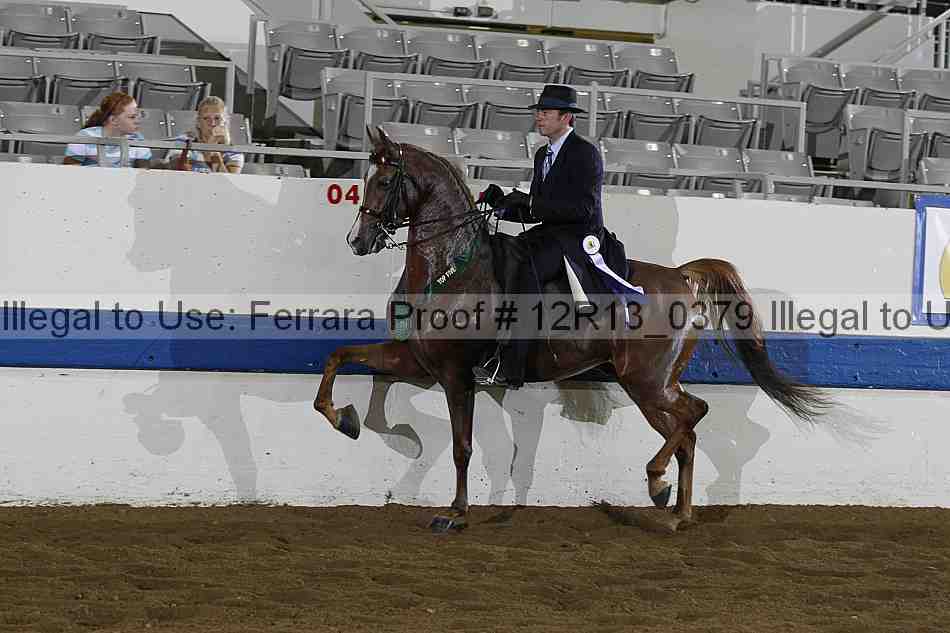 Proof Number 12r13_0379