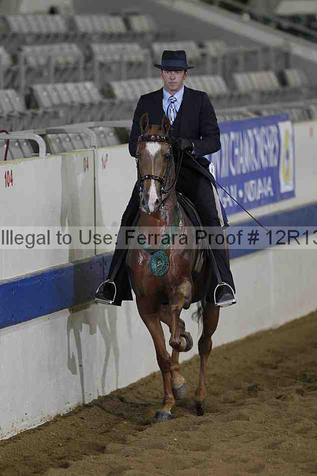 Proof Number 12r13_0383