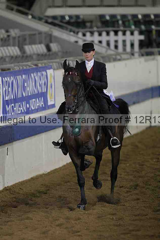 Proof Number 12r13_0385