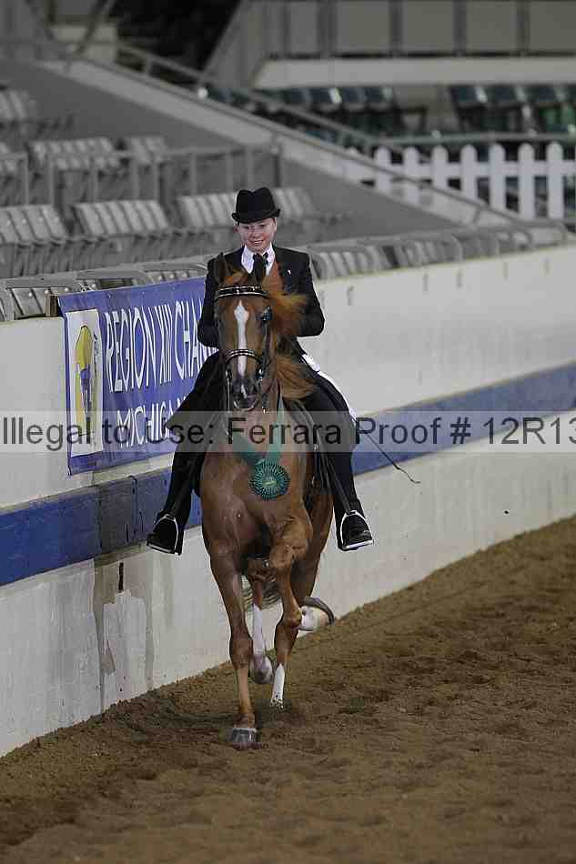 Proof Number 12r13_0389