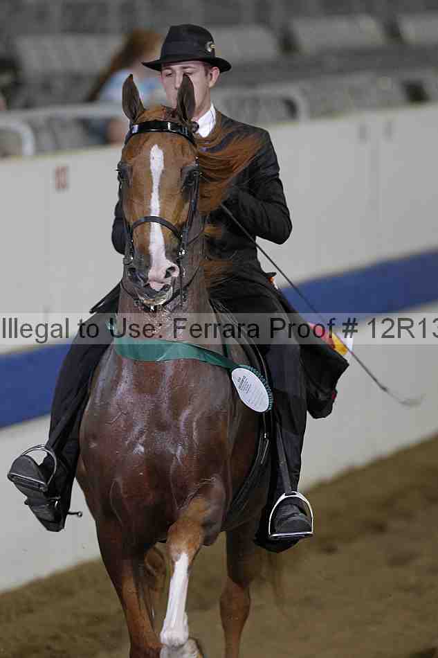 Proof Number 12r13_0391